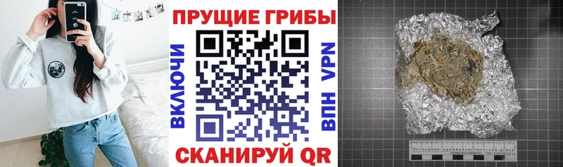 Галлюциногенные грибы Psilocybine cubensis  Калтан 
